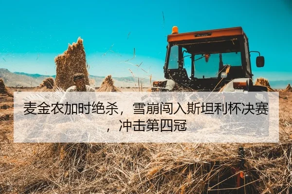 麦金农加时绝杀，雪崩闯入斯坦利杯决赛，冲击第四冠